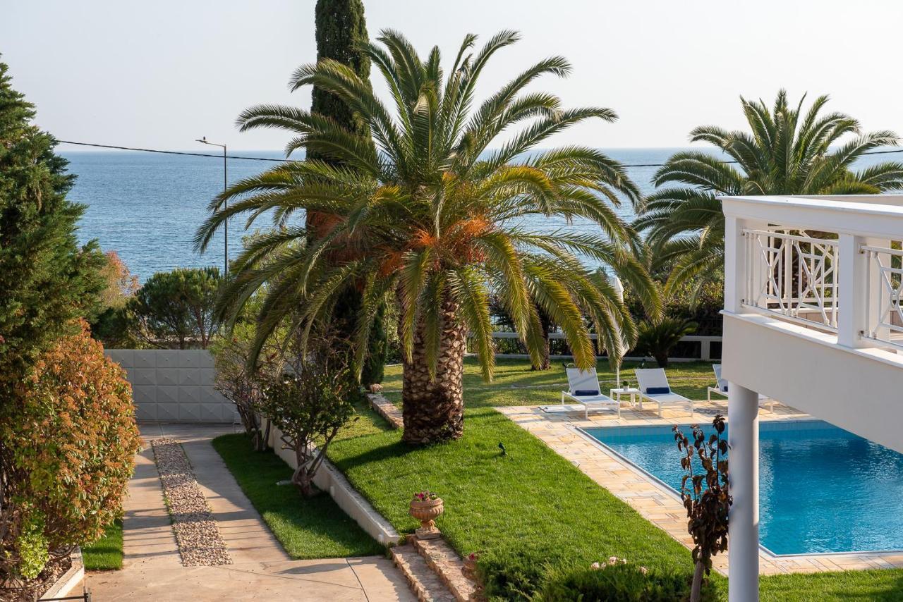 Kamariyo Athens Riviera By A&D Properties Palaia Fokaia Exterior photo